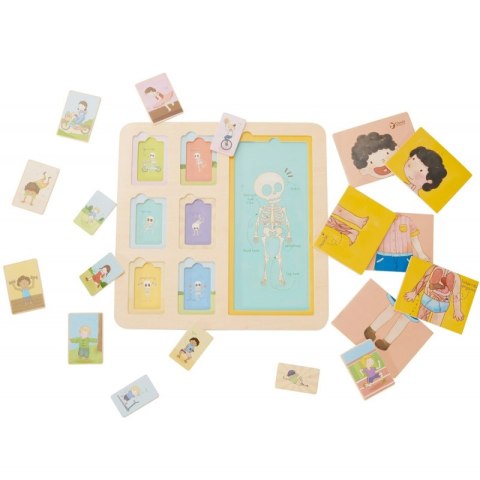 CLASSIC WORLD Tablica Edukacyjna Ciało Ludzkie Układanka Klocki Puzzle dla Dzieci Dopasuj MONTESSORI 19 el. 2+