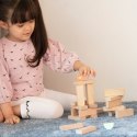 CLASSIC WORLD Gra Edukacyjna Układanie Klocków Ptaków 23 el. 3+