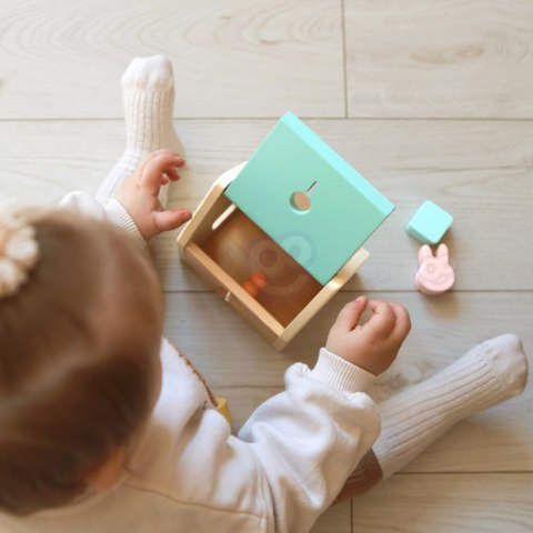 CLASSIC WORLD Pastelowy Zestaw dla Niemowląt Box Pierwsze Zabawki do Nauki od 12 do 18 miesiąca 12m+