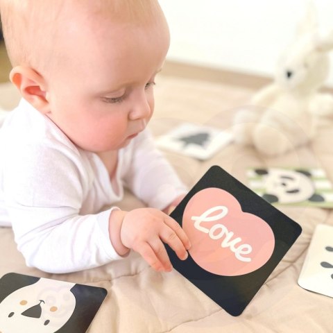 CLASSIC WORLD Pastelowy Zestaw dla Niemowląt Box Pierwsze Zabawki od 0 - 6 miesięcy 0+