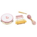 VIGA PolarB Zestaw Instrumentów Muzycznych Różowy 12m+