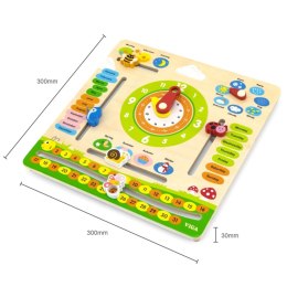 VIGA Kalendarz Edukacyjny Nauka Jezyka Angielskiego 3+