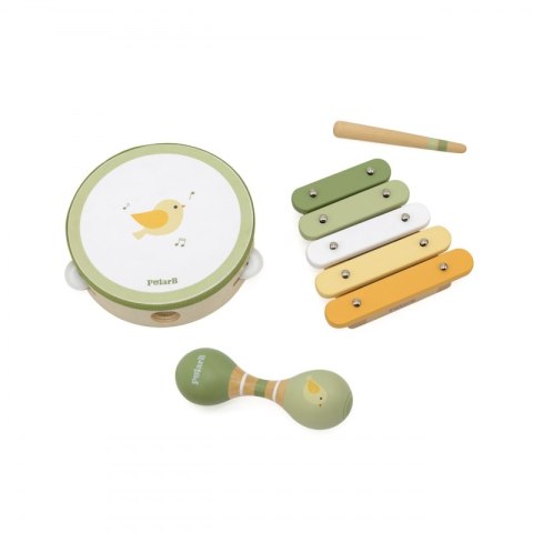 VIGA PolarB Zestaw Instrumentów Muzycznych Z Ptaszkiem 3+