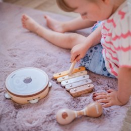 VIGA PolarB Zestaw Instrumentów Muzycznych Z Ptaszkiem 3+