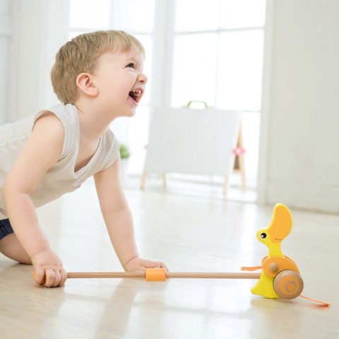 CLASSIC WORLD Pchacz Kaczuszka Drewniany Dla Dzieci 12m+