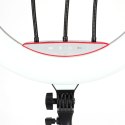 Lampa pierścieniowa LUMO LED RGB ring do filmów zdjęć makijażu