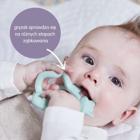 Gryzak lisek, Lullaby Blue, b.box.