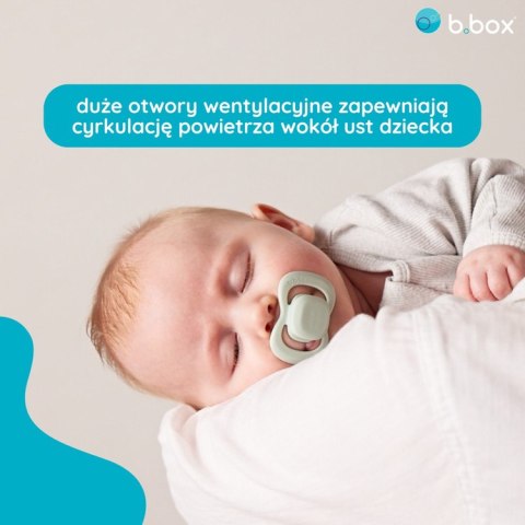 Smoczek dla noworodka i niemowlaka 2 szt.- symetryczny smoczek silikonowy 0 - 6 mies., Sage + Vanilla, b.box