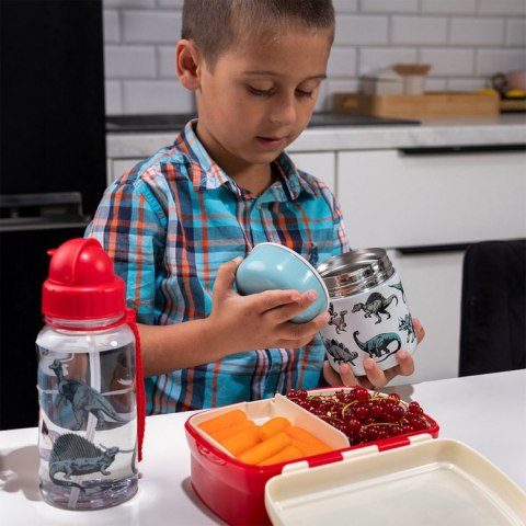 Zestaw śniadaniowy lunchbox i bidon Dinozaury, Rex London