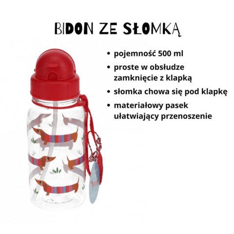 Zestaw śniadaniowy lunchbox i bidon Jamniki, Rex London