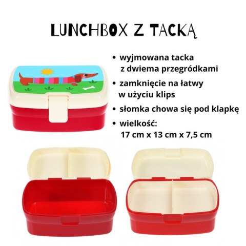 Zestaw śniadaniowy lunchbox i bidon Jamniki, Rex London