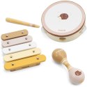 VIGA PolarB Zestaw Instrumentów Muzycznych Z Jeżykiem 12m+