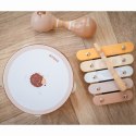 VIGA PolarB Zestaw Instrumentów Muzycznych Z Jeżykiem 12m+