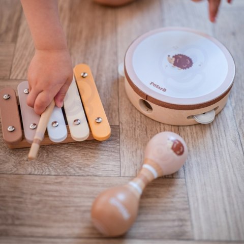 VIGA PolarB Zestaw Instrumentów Muzycznych Z Jeżykiem 12m+