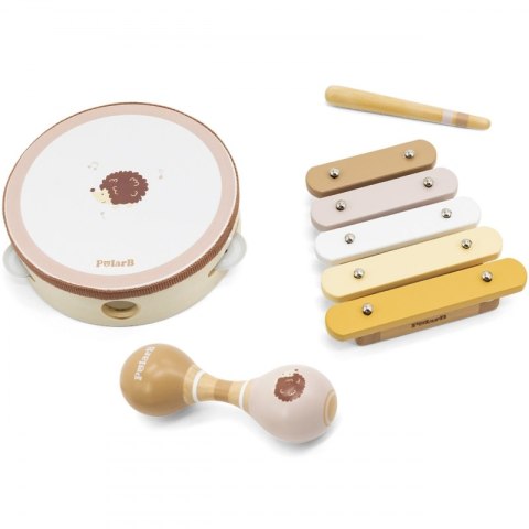 VIGA PolarB Zestaw Instrumentów Muzycznych Z Jeżykiem 12m+