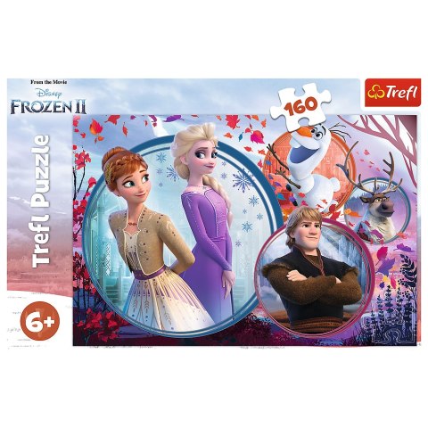 Puzzle - 160 - Kraina Lodu II - Siostrzana Przygoda - Trefl 15374