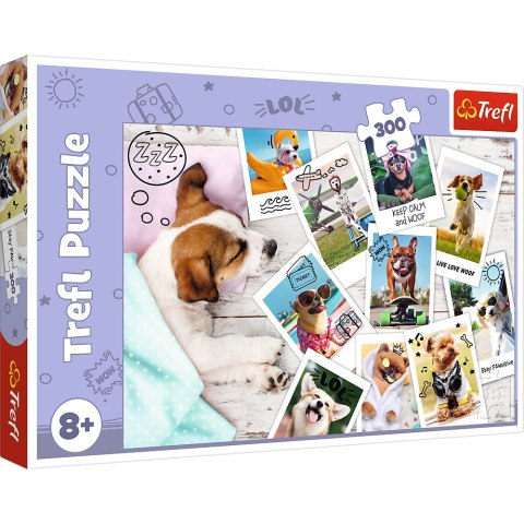 Puzzle - 300 - Zdjęcia z wakacji - Trefl 23003