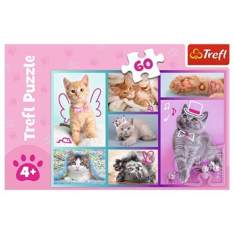 Puzzle - 60 - Słodkie kociaki - Trefl 17373