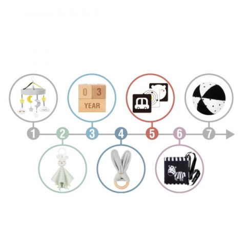 WOOPIE GREEN Pudełko XXL Montessori Sensoryka i Edukacja 7w1 FSC